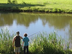 Chestnut Mountain Cabin stocked pond